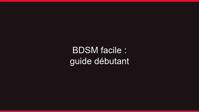 BDSM facile : guide débutant